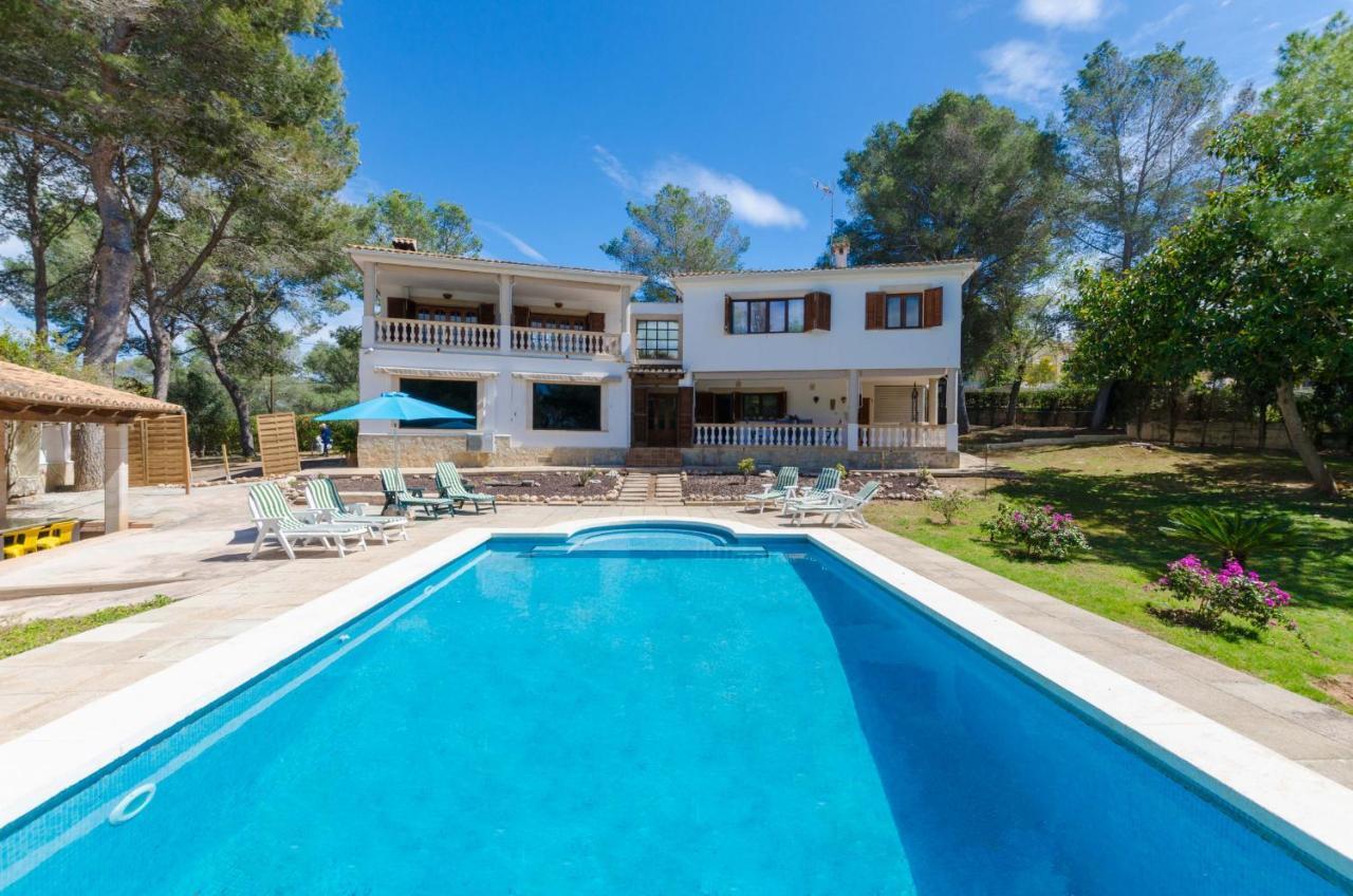 Your House Marques Palma
