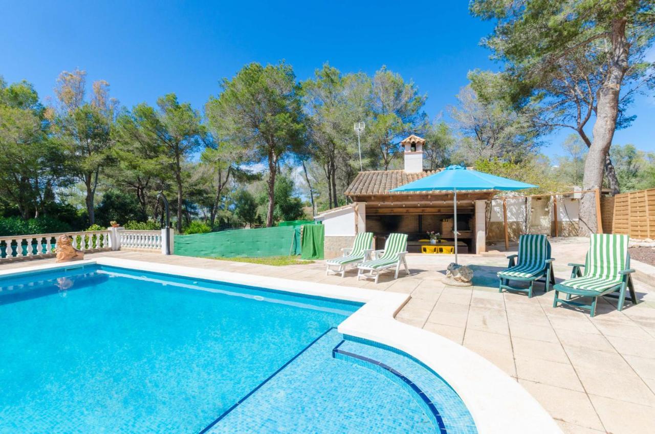 Your House Marques * Palma